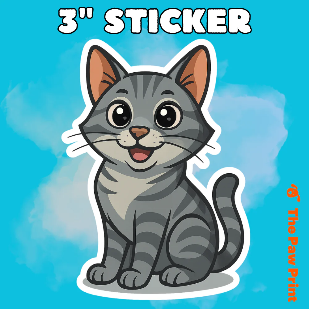 Popular Cat Products